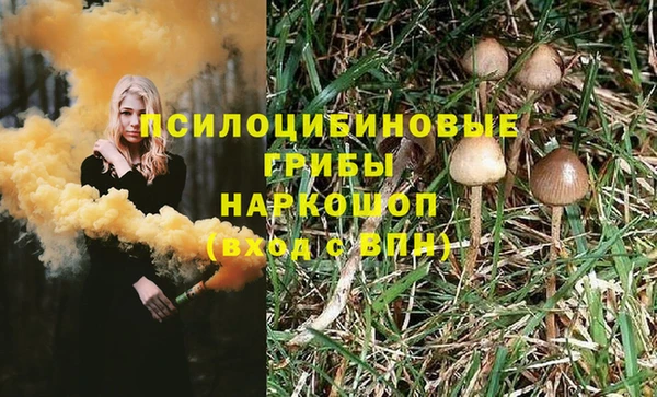 мяу мяу мука Алексин