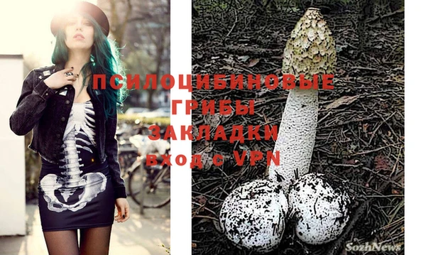 герыч Алзамай