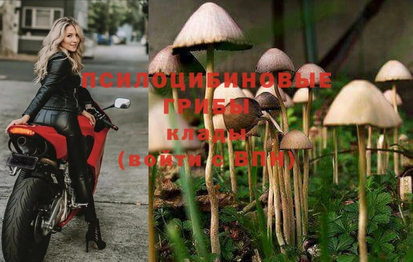 хмурый Алексеевка