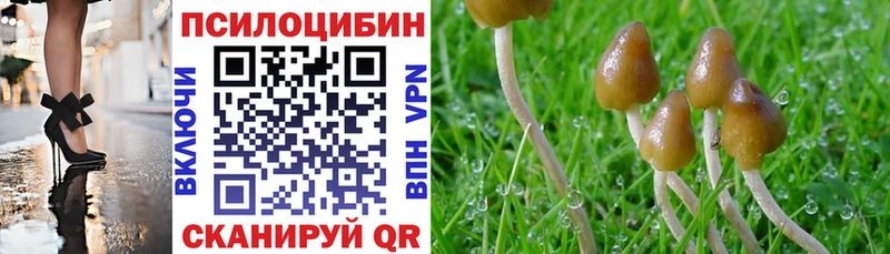 Псилоцибиновые грибы MAGIC MUSHROOMS сколько стоит Межгорье